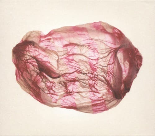 Distant Sounds of Summer by Susumu Yokota