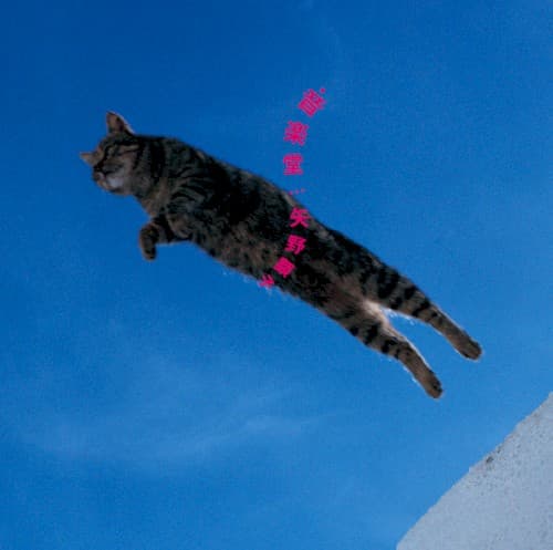 音楽堂 by 矢野顕子