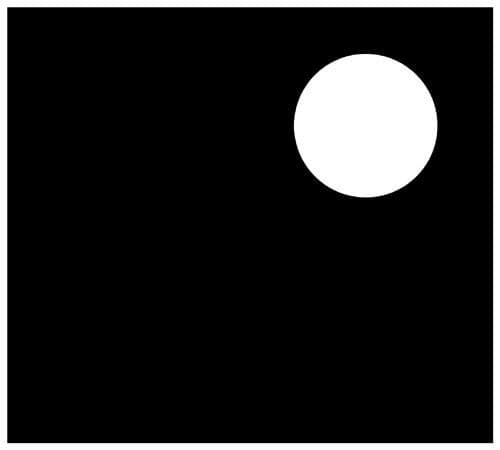 Grinning Cat by Susumu Yokota