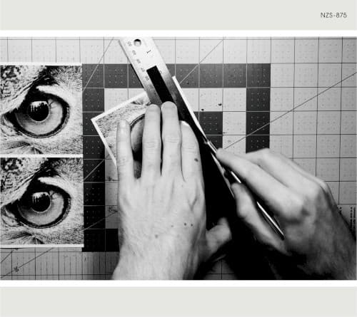 アダプト by Sakanaction