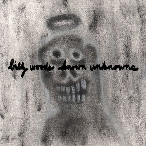 Known Unknowns by billy woods