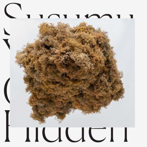 Cloud Hidden by Susumu Yokota