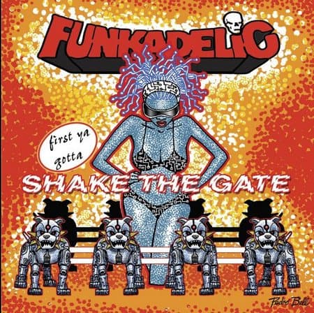 First Ya Gotta Shake the Gate by Funkadelic