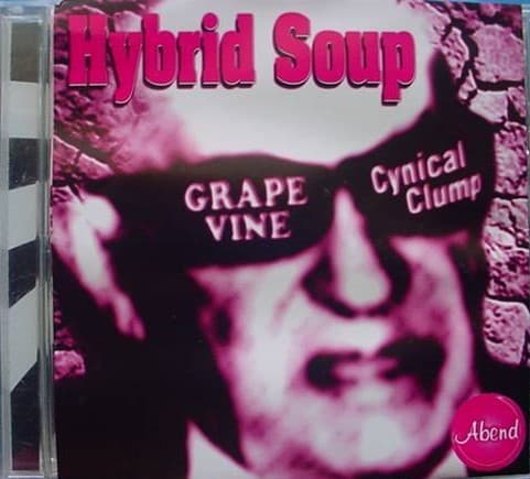 Hybrid Soup by GRAPEVINE