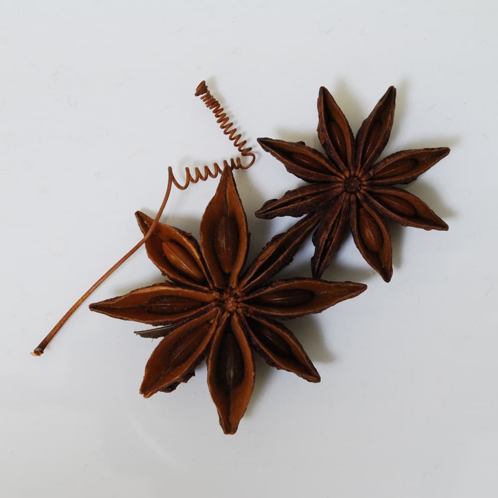 Mother by Susumu Yokota