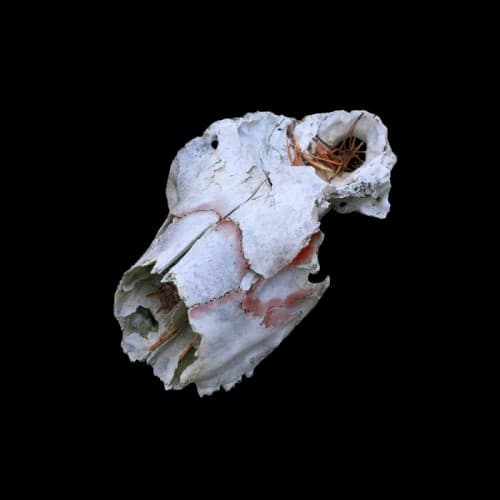 untitled - circa 2014 by Vladislav Delay