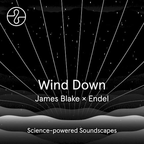 Wind Down by James Blake