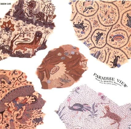 Paradise View by 細野晴臣