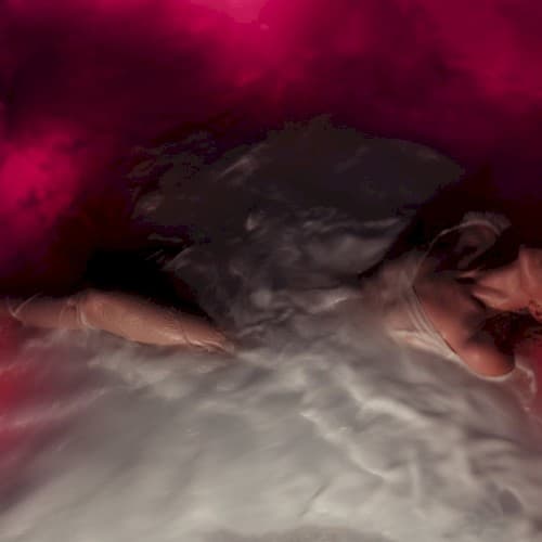 FLOWERS for VASES / descansos by Hayley Williams