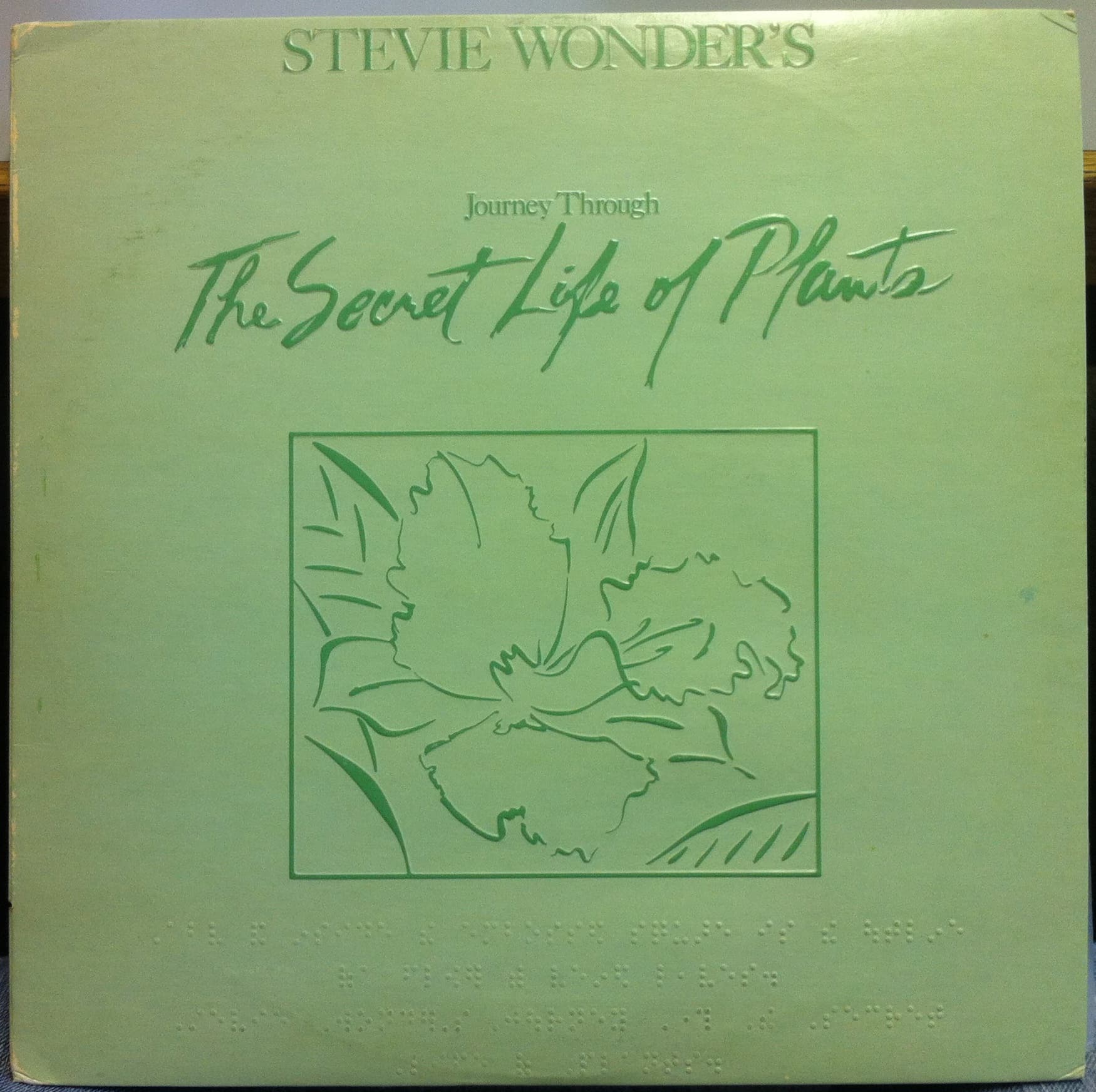 Journey Through The Secret Life Of Plants by Stevie Wonder