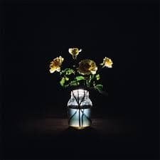 Renewal by Billy Strings