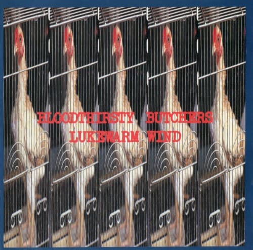LUKEWARM WIND by bloodthirsty butchers