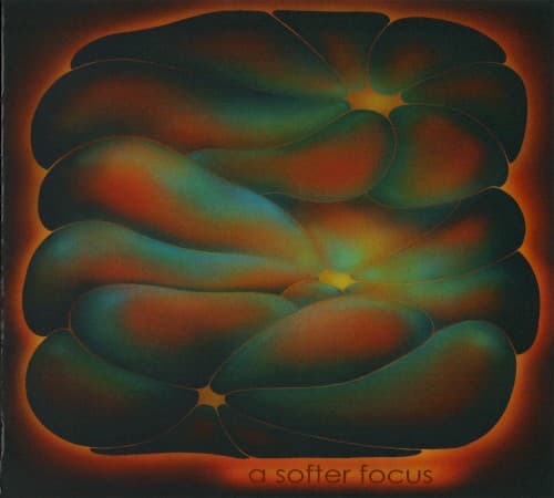 A Softer Focus by claire rousay