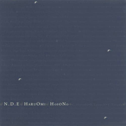 N.D.E by 細野晴臣