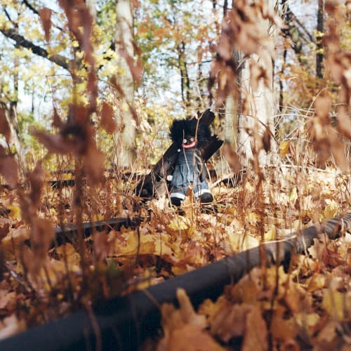 GOLLIWOG by billy woods