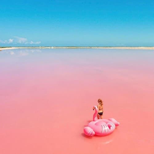 A Beautiful Memory by Geese