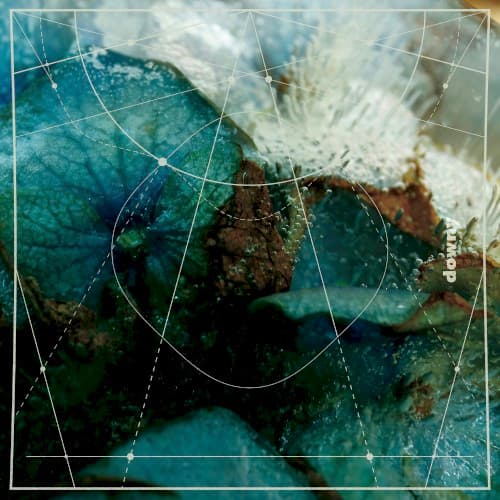  第六作品集『無題』 by downy