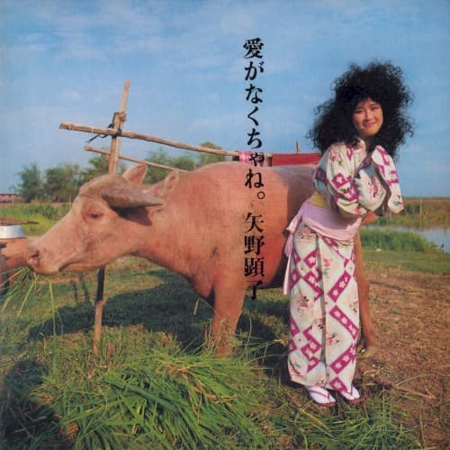 Ai Ga Nakucha Ne by 矢野顕子