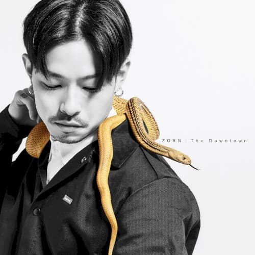 The Downtown by ZORN