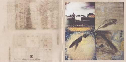 The Visitor by Neil Young