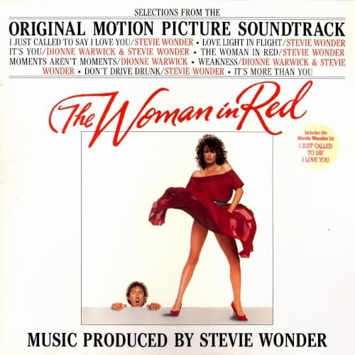 The Woman in Red by Stevie Wonder