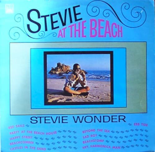 Stevie at the Beach by Stevie Wonder