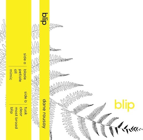 Blip by claire rousay