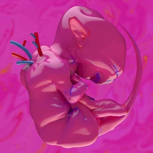 ekkolaptómenos by HARU NEMURI