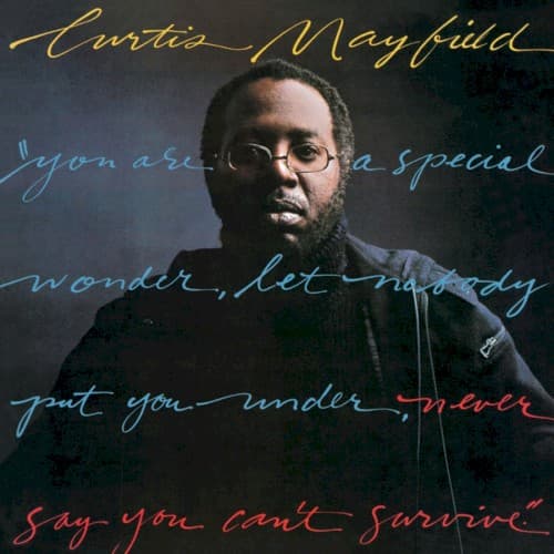Never Say You Can't Survive by Curtis Mayfield
