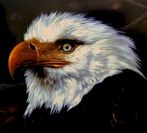 The Hawk Is Howling by Mogwai