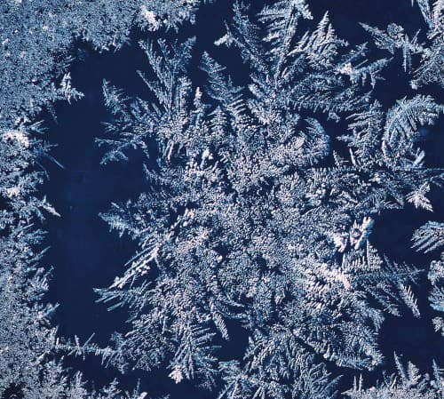 Tha Blue Herb by Tha Blue Herb