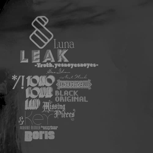 New Album 2009 by Boris