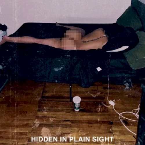 Hidden in Plain Sight by Boldy James