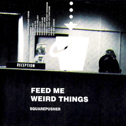 Feed Me Weird Things by Squarepusher
