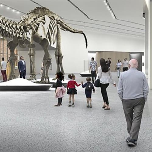 Museum Music by Edward Skeletrix