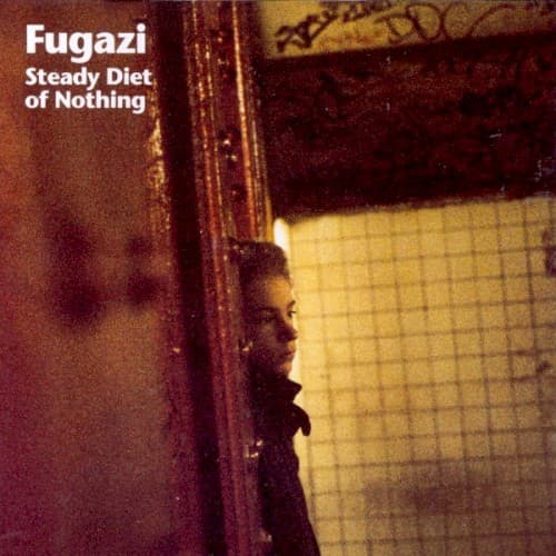 Steady Diet of Nothing by Fugazi
