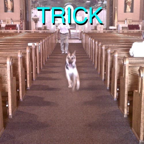 Trick by Alex G
