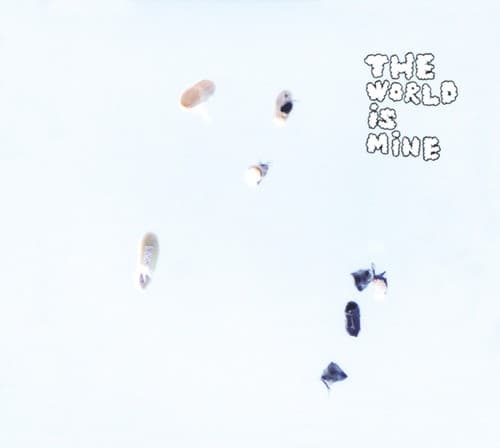 THE WORLD IS MINE by くるり