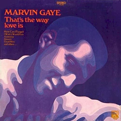 That’s the Way Love Is by Marvin Gaye