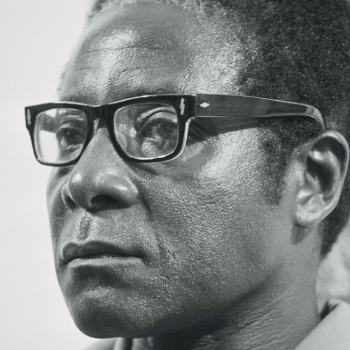 History Will Absolve Me by billy woods