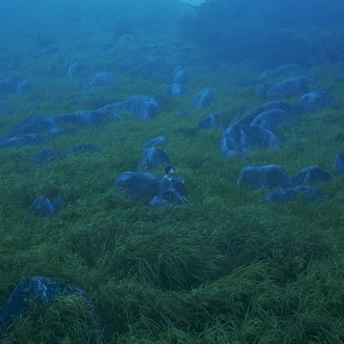 Diffusion of Responsibility by She Her Her Hers