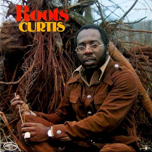 Roots by Curtis Mayfield