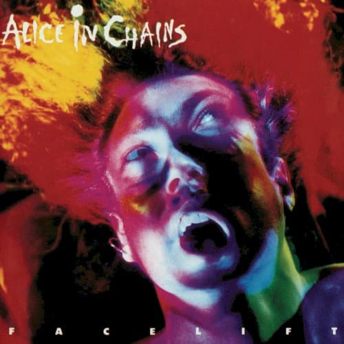 Facelift by Alice in Chains