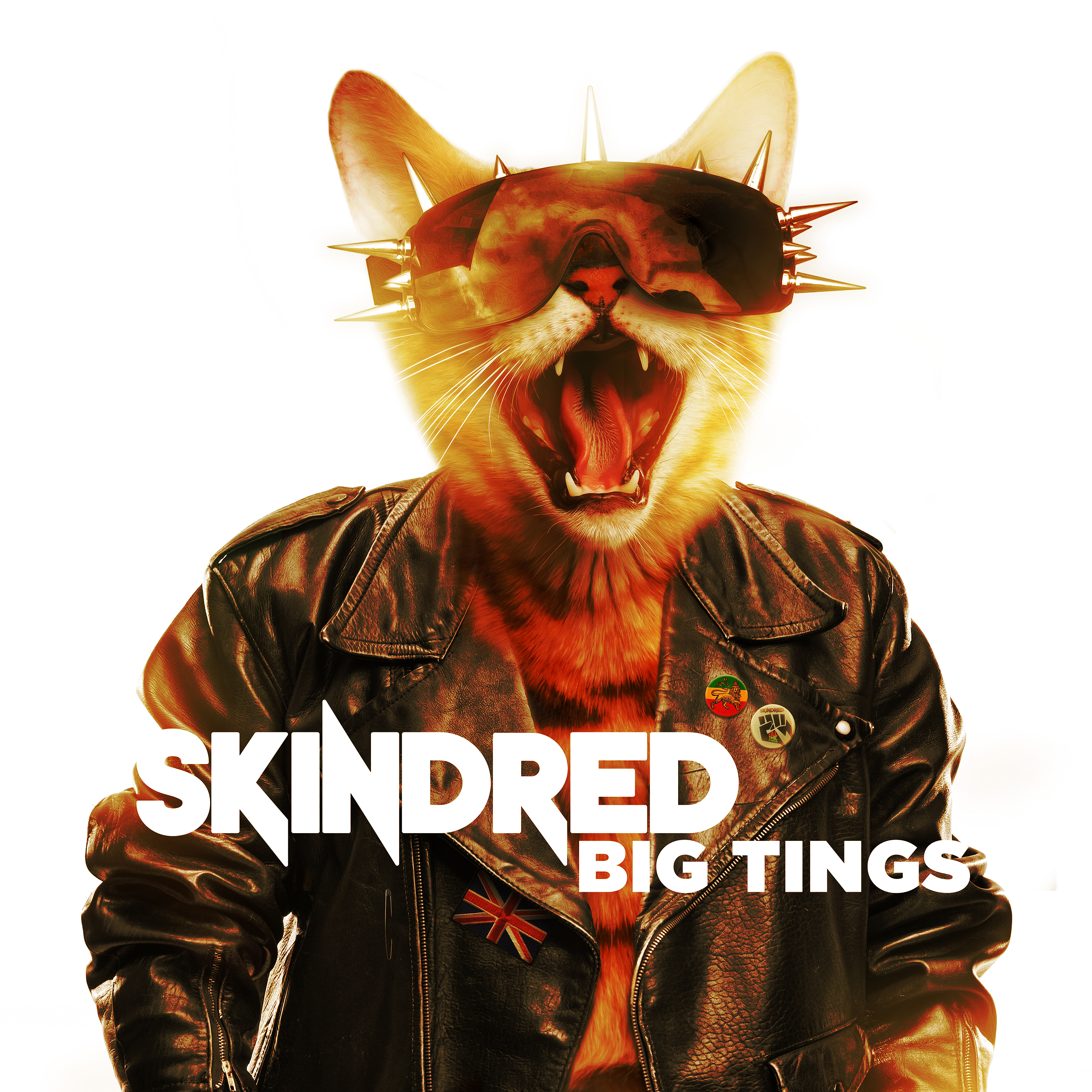 Big Tings by Skindred