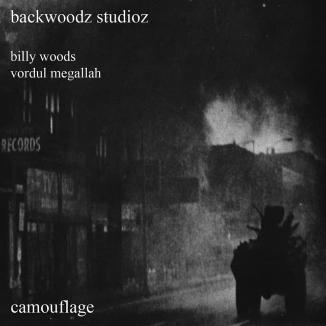 Camouflage by billy woods
