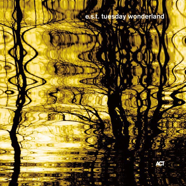 JazzFest Berlin 2001 by Esbjörn Svensson Trio