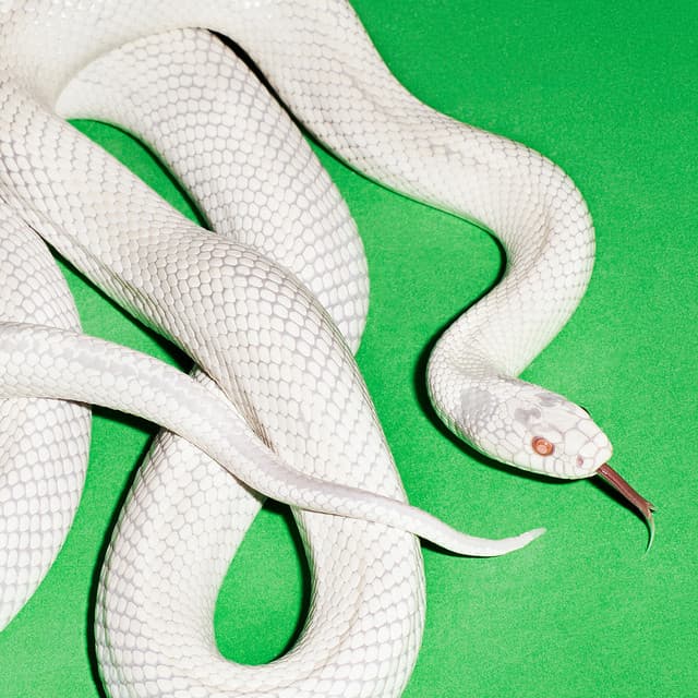 Private Music by Deftones