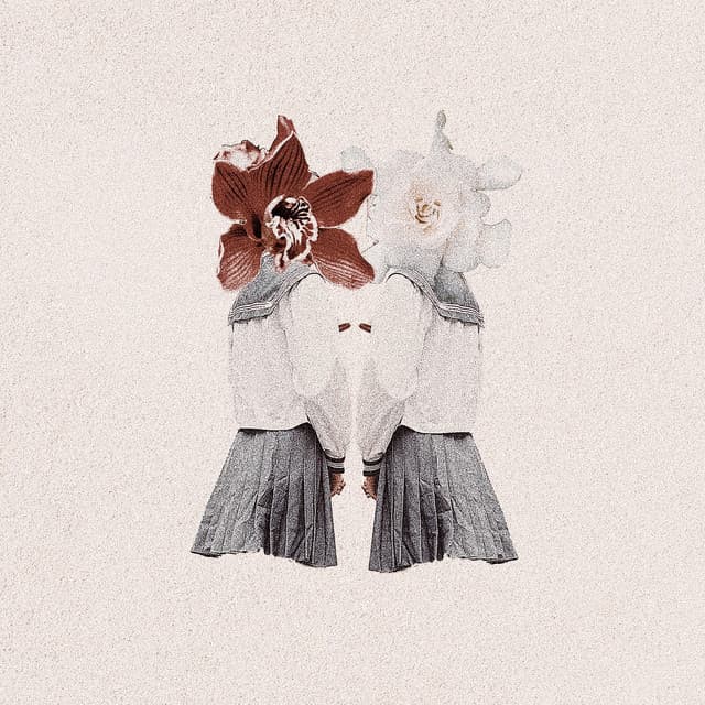 n. by 笹川真生