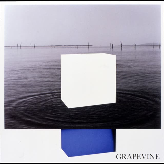 イデアの水槽 by GRAPEVINE