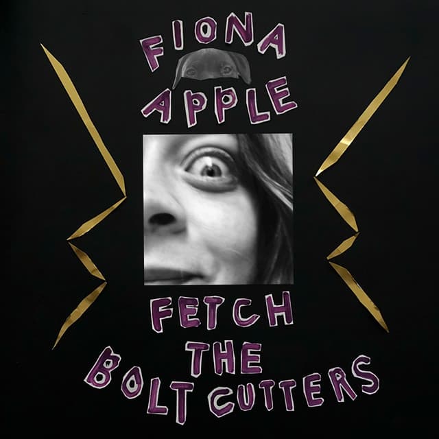 Fetch the Bolt Cutters by Fiona Apple